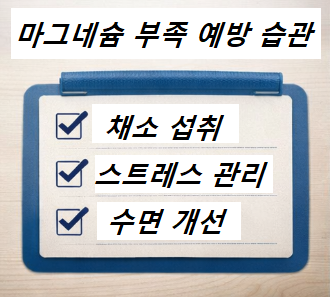 마그네슘 부족 예방을 위한 생활습관 체크리스트 이미지