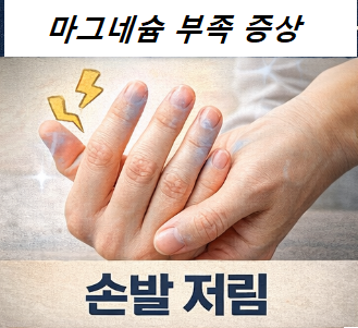 마그네슘 부족으로 인한 손발 저림 증상 이미지
