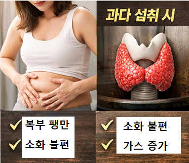 브로콜리 과다 섭취 부작용 복부 팽만 소화 불편 설명