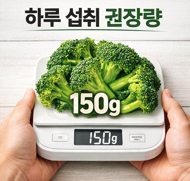 브로콜리 하루 섭취 권장량 150g 적정 섭취 기준