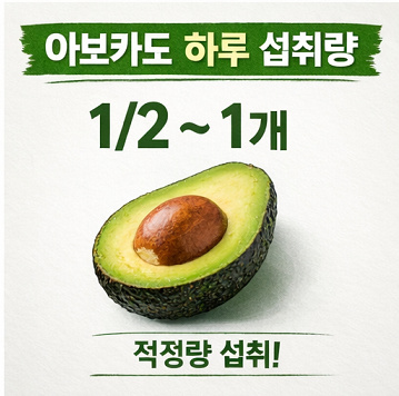 아보카도 하루 섭취량 추천 건강 정보