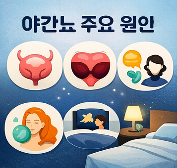 야간뇨 주요 원인 방광 전립선 수면 문제 아이콘 설명 이미지