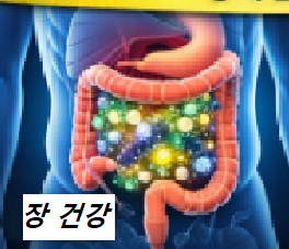 장 건강 이미지