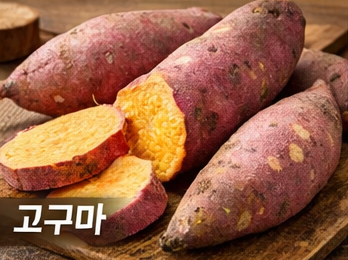 장 건강에 좋은 고구마