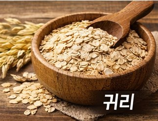 장 건강에 좋은 귀리