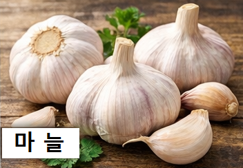 장 건강에 좋은 마늘