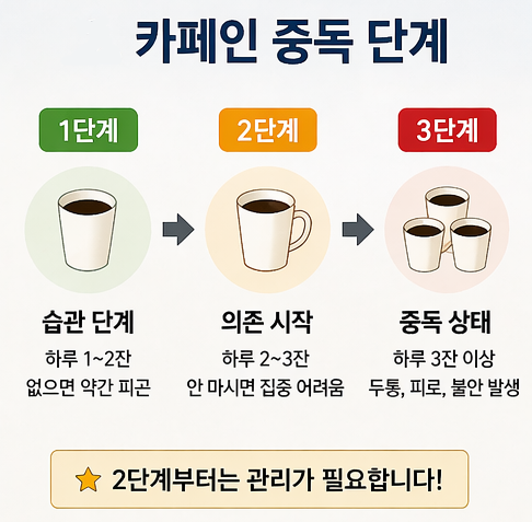 카페인 중독 단계별 불안과 심장 두근거림 증상