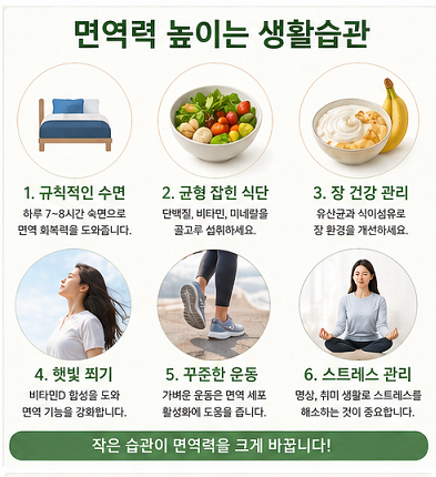 면역력 높이는 방법 수면 식습관 운동 장 건강 관리 생활습관