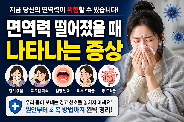 면역력 떨어졌을 때 나타나는 증상 감기 피로 입병 피부 트러블 장 문제 면역력 저하 신호