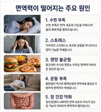면역력이 떨어지는 원인 수면 부족 스트레스 영양 불균형 장 건강 악화 설명
