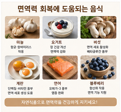 면역력 높이는 음식 마늘 요거트 버섯 계란 블루베리 추천