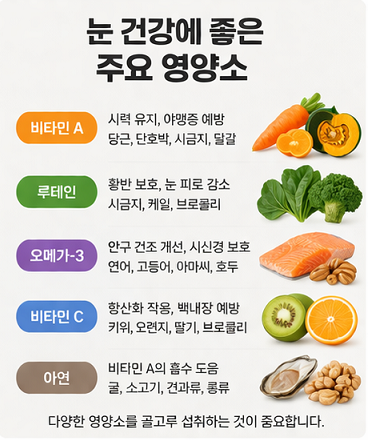 비타민A, 루테인, 오메가3, 비타민C 등 눈 건강에 좋은 주요 영양소를 정리한 이미지