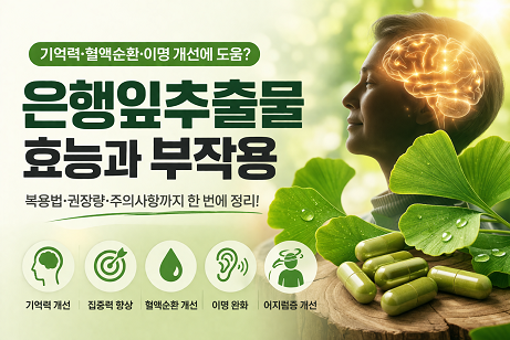은행잎추출물 잎과 캡슐, 뇌와 혈액순환 아이콘이 함께 배치된 건강기능식품 대표 이미지