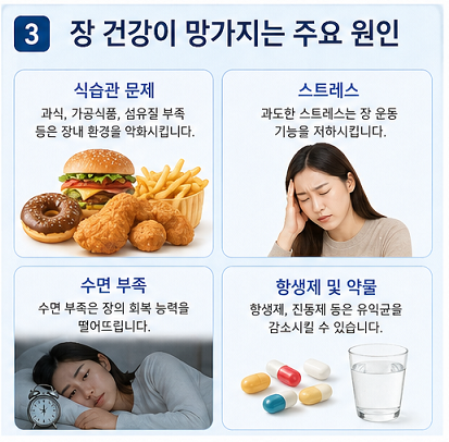 장 건강 망가지는 원인 식습관 스트레스 수면 부족 약물 영향 설명 이미지