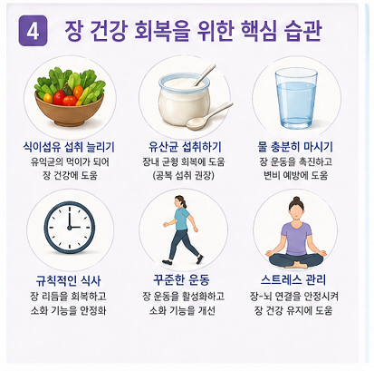 장 건강 회복 방법 식이섬유 유산균 물 섭취 운동 생활습관 개선 이미지