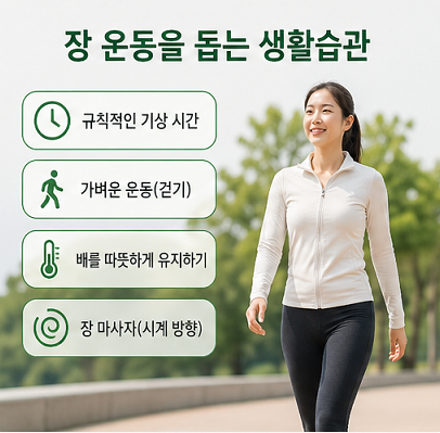 장 운동을 돕는 생활습관 걷기 규칙적인 생활 복부 보온 장 건강 관리