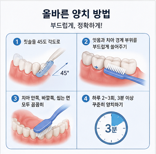 잇몸 손상을 줄이는 올바른 양치 방법과 칫솔 사용법