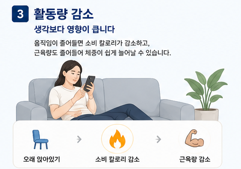 활동량 감소와 근육량 저하로 체중이 증가하는 원인
