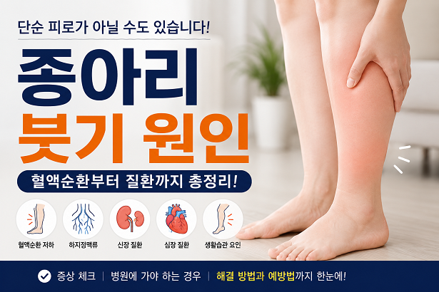 종아리 붓기 원인과 혈액순환 저하, 하지정맥류, 신장질환 등 주요 원인 및 해결 방법을 정리한 대표 이미지