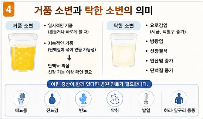 거품 소변과 탁한 소변의 의미