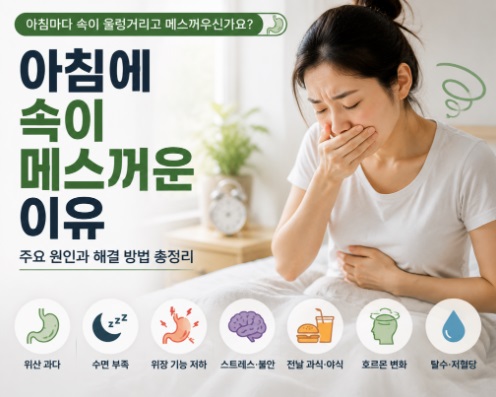아침에 속이 메스꺼운 이유