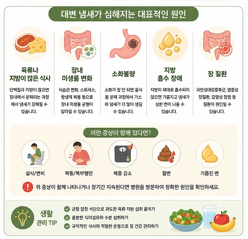 대변 냄새가 심해지는 대표적인 원인