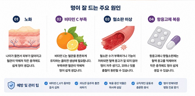 멍이 잘 드는 주요 원인