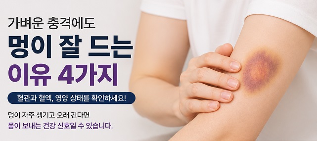 멍이 잘드는 이유