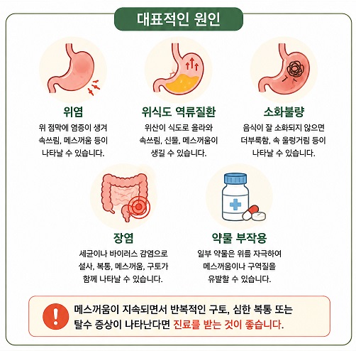 메스꺼움이 생기는 대표적인 원인