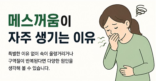 메스꺼움이 자주 생기는 이유