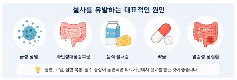 설사를 유발하는 대표적인 원인