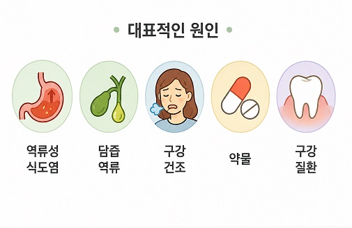 입에서 쓴맛이 나는 대표적인 원인