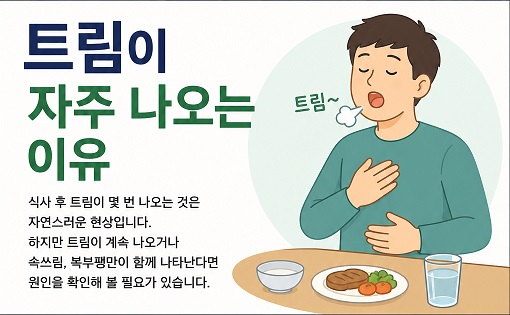 트림이 자주 나오는 이유