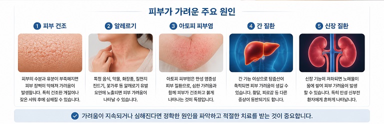 피부가 가려운 주요 원인