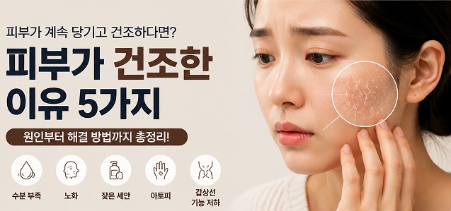 피부가 건조한 이유