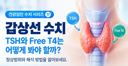 갑상선 수치