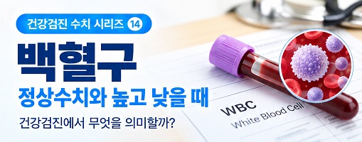 백혈구