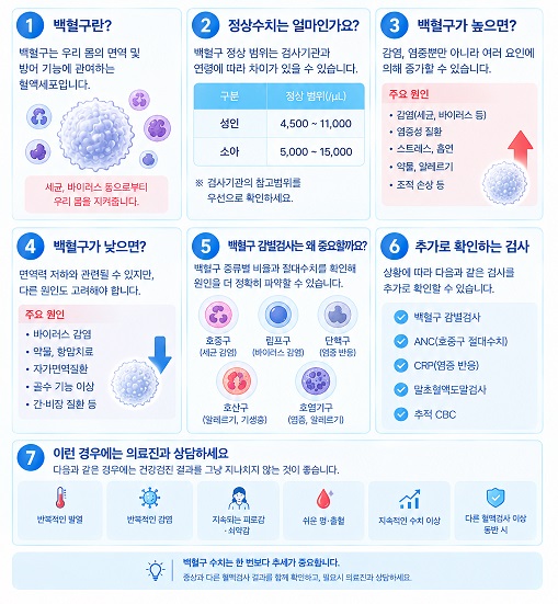 백혈구란