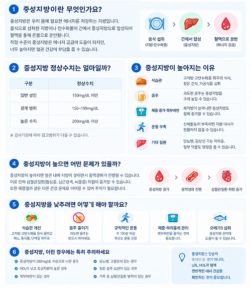 중성지방이란